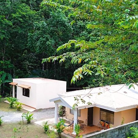 Alma del bosque Vacation Home&apartments Quepos Exterior foto