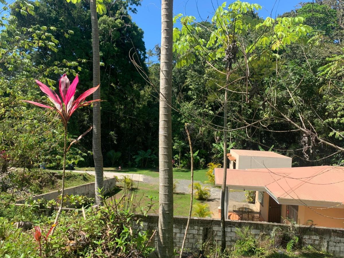 Alma del bosque Vacation Home&apartments Quepos Exterior foto
